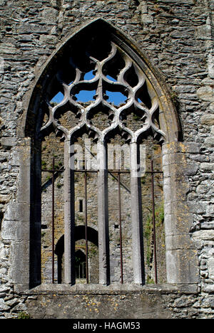 L'Orient ancien de l'Irlande, l'Église médiévale, la ruine, la fenêtre fenêtre gothique, Cashel, comté de Tipperary, Cashel. Banque D'Images