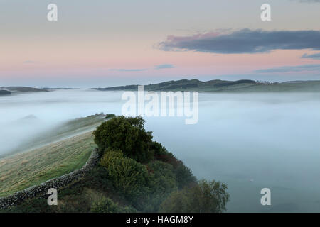 À l'ouest le long de falaises Cawfield, mur d'Hadrien, Northumberland - une aube voir avec le brouillard de faible altitude sur les champs Banque D'Images