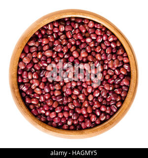 Les haricots adzuki rouge dans bol en bois, également appelé adzuki, aduki Haricot mungo ou rouge. Petits haricots secs de Vigna angularis. Macro isolé Banque D'Images