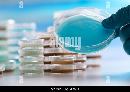 Pétri de liquide en main Banque D'Images