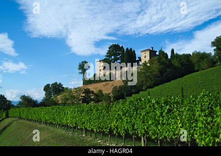 Vue d'été de la cité médiévale, château de Trussio Cormons, Friuli, Italie Banque D'Images