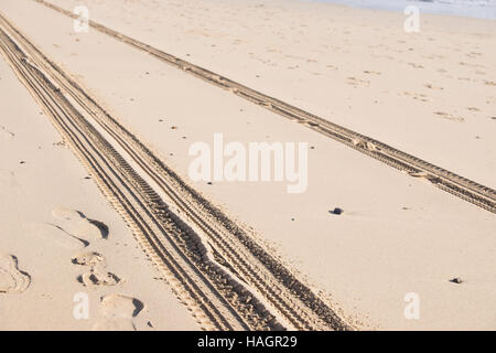 Piste de voiture sur le sable dans le désert Banque D'Images