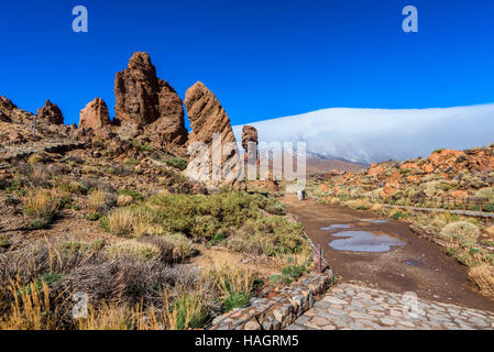 Rock Formation dans le Parc National du Teide Tenerife Banque D'Images