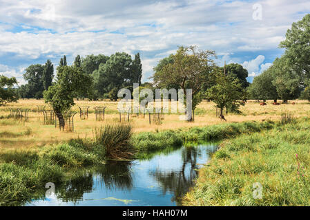 Ruisseau coule à travers la campagne anglaise sur summers day Banque D'Images