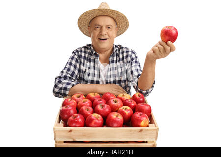 Maturité joyeuse farmer holding an apple derrière une caisse remplie de pommes isolé sur fond blanc Banque D'Images