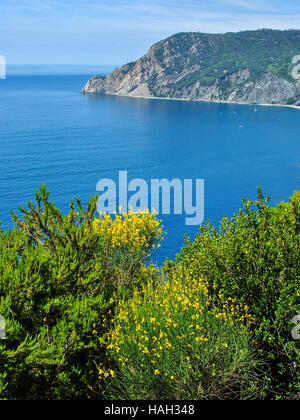 Vue panoramique sur la côte près de Monterosso, l'un des 'Cinque Terre' en Italie Banque D'Images