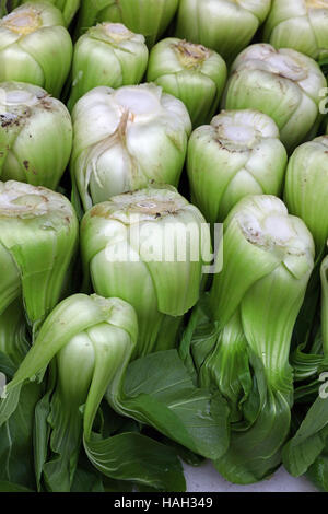 Frais vert Le Bok choy ou pak choi (Brassica rapa chinensis) feuilles de chou chinois sur le marché de détail Affichage, Close up, high angle view Banque D'Images