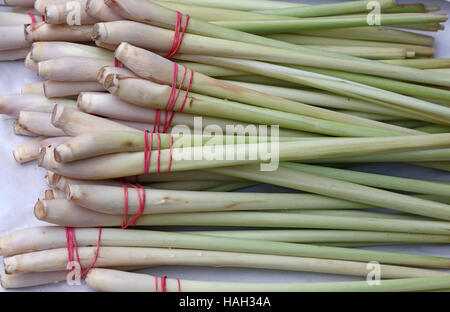 Bouquets de frais vert de la citronnelle, de l'ingrédient alimentaire traditionnel de la cuisine asiatique, le marché des fermiers de détail, Close up, augmentation de la vue de dessus, high angle Banque D'Images