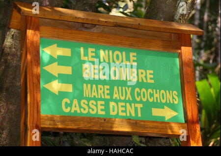 Mare aux Cochons Trail. L'île de Mahé. Le Parc National du Morne Seychellois. Banque D'Images