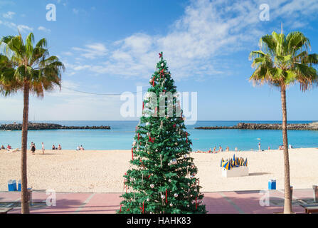 Arbre de Noël sur la plage à Playa de Amadores sur Gran Canaria, Îles Canaries, Espagne Banque D'Images