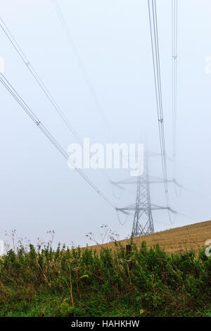 Pylône électrique émergeant de la brume dans un champ de cultures, Sutton Poyntz, Dorset, England, UK Banque D'Images