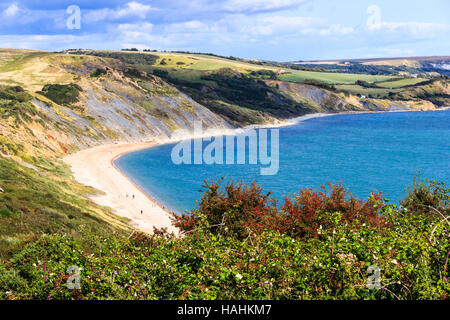 Falaise vue depuis la South West Coast Path près de Bowleaze Cove, Dorset, England, UK Banque D'Images