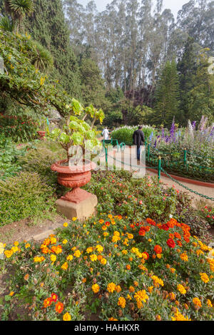 Les Jardins Botaniques, Ooty, à Udhagamandalam, près de Coimbatore(Ooty), état de Tamil Nadu, Inde énoncées en 1848. Banque D'Images