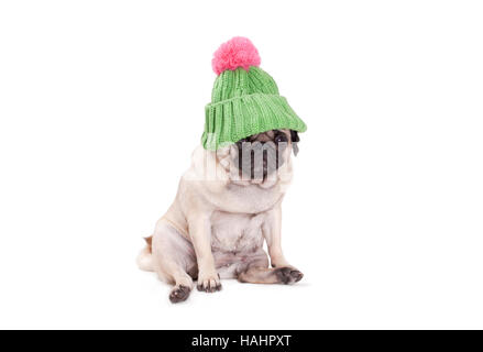 Le PUG petit chien assis et portant des côtes vert kniited croix chapeau avec pompon, rose sur fond blanc Banque D'Images