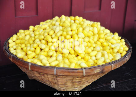 Les cocons de ver à soie jaune pour faire de la soie en Asie Banque D'Images
