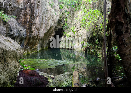 Petit lac du gouffre, le Togo Chasm, Niue, Océanie, Pacifique Sud Banque D'Images