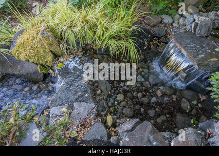 Clair comme de l'eau s'écoule dans un ruisseau sur un lit rocheux. Banque D'Images