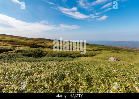 Paysage verdoyant, Daisetsuzan, Hokkaido, Japon Banque D'Images