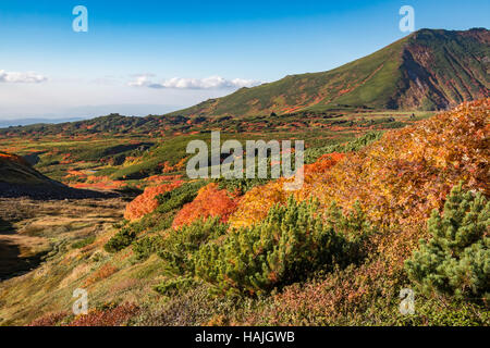 Couleurs d'automne dans les contreforts du Parc National de Daisetsuzan, Hokkaido, Japon, fin septembre. Banque D'Images