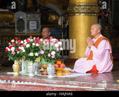 Moine femelle portant la robe traditionnelle prière tôt le matin à la pagode Shwedagon à Yangon, Myanmar. Banque D'Images