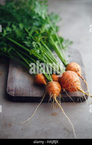 Tas de petites carottes (Parisian Heirloom Carrots). Un tas de carottes et les tops sur une planche en bois Banque D'Images