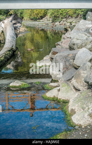 Afficher de Des Moines Creek sous un pont. Canards dans la distance. Banque D'Images