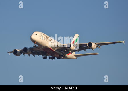 Emirates Airlines Airbus A380-800 A6-EDF à l'atterrissage à l'aéroport Heathrow de Londres, UK Banque D'Images