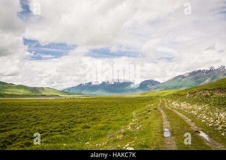 Montagnes Tian-chan, la belle route de vert Kara-Say à Naryn, Kirghizistan, sur la longue vallée glaciar. Banque D'Images