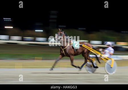 - Effet panoramique photo floue nuit course de chevaux historique Banque D'Images