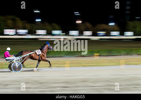 - Effet panoramique photo floue nuit course de chevaux historique Banque D'Images