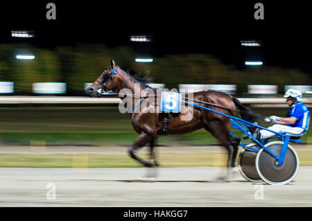 - Effet panoramique photo floue nuit course de chevaux historique Banque D'Images