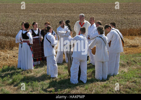 La récolte commence traditionnellement l'assemblage de villageois, chants et danses, Davor, Slavonie, Croatie Banque D'Images