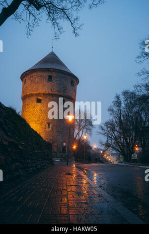 Kiek in de Kok, fortification médiévale tour à crépuscule, Tallinn, Estonie Banque D'Images
