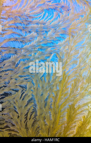 Formations de glace sur verre Banque D'Images