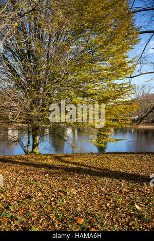 Lac artificiel en automne à St Mary Bourne, Hampshire, England, UK Banque D'Images