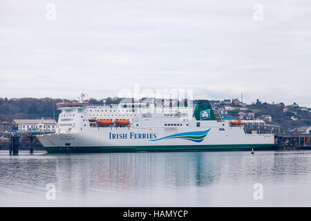 Pembroke, au Pays de Galles, Royaume-Uni. 2 Décembre, 2016. L'Irish ferry, Isle of Inishmore, a fait état d'une femme à la mer ce matin. Un corps a été trouvé près de l'Ouest sur le Lawrenny Cleddau. Credit : Derek Phillips/Alamy Live News Banque D'Images