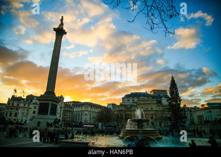 Londres, Royaume-Uni. 19Th Mar, 2016. Météo britannique. La colonne Nelson et Trafalgar Square contre un arbre de Noël hiver golden sunset Crédit : Dinendra Haria/Alamy Live News Banque D'Images