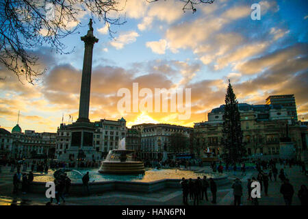 Londres, Royaume-Uni. 19Th Mar, 2016. Météo britannique. La colonne Nelson et Trafalgar Square contre un arbre de Noël golden sunset Crédit : Dinendra Haria/Alamy Live News Banque D'Images