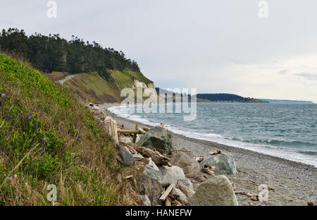 L'île de Whidbey, l'État de Washington : falaises et littoral le long de l'océan Pacifique. Banque D'Images