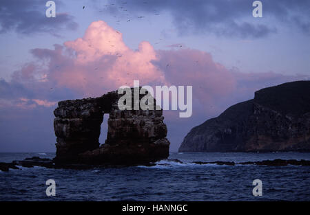 Darwins Arch vor der Insel Darwin Banque D'Images