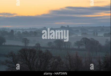 Lever du Soleil à un cadre rural près de Rilla Mill dans East Cornwall Banque D'Images