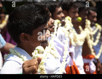 Thaipusam ou Kavady Poosam thaïlandais Festival près de Kochi, Kerala, Inde. Banque D'Images