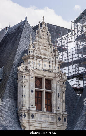 Les travaux de restauration de la toiture de Chambord dans la vallée de la Loire. Une sculpture de la salamandre de François 1er peut être vu. Banque D'Images