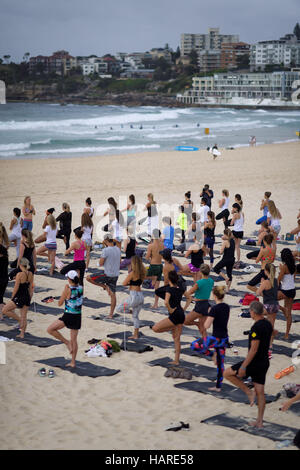 Sydney, Australie. 06Th Dec, 2016. Une session active sur le sable à la plage de Bondi à Sydney. Credit : Hugh Peterswald/Pacific Press/Alamy Live News Banque D'Images