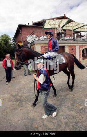 Jockey Darren Moffatt sur le cheval au joue sur le sixième jour de course sur le 9.8.2008 à Dresden-Seidnitz race track, Saxe Banque D'Images
