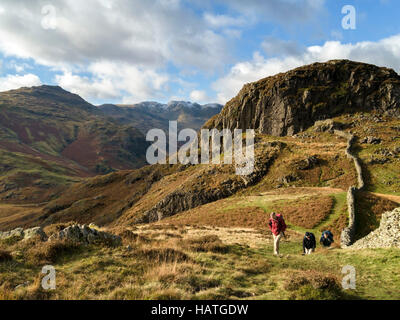 Les marcheurs et le mur de pierre sèche sur Lingmoor tomba avec côté Pike (à droite) et Pike O'Blisco (à gauche) et Crags Crags Beyond, Cumbria, Royaume-Uni Banque D'Images