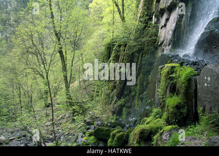 Cascade du Nideck, Oberhaslach, Alsace, France Banque D'Images