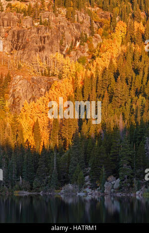 Le soleil du matin illumine l'automne arbres couleur le long de la rive du lac de l'ours. Banque D'Images