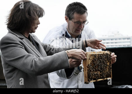 App d'abeilles présenté par Ilse Aigner FM Banque D'Images