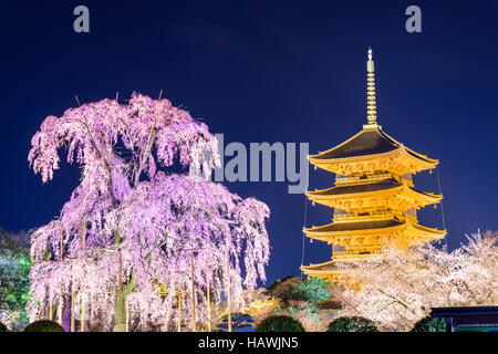 Kyoto, Japon à la Pagode Toji au printemps. Banque D'Images